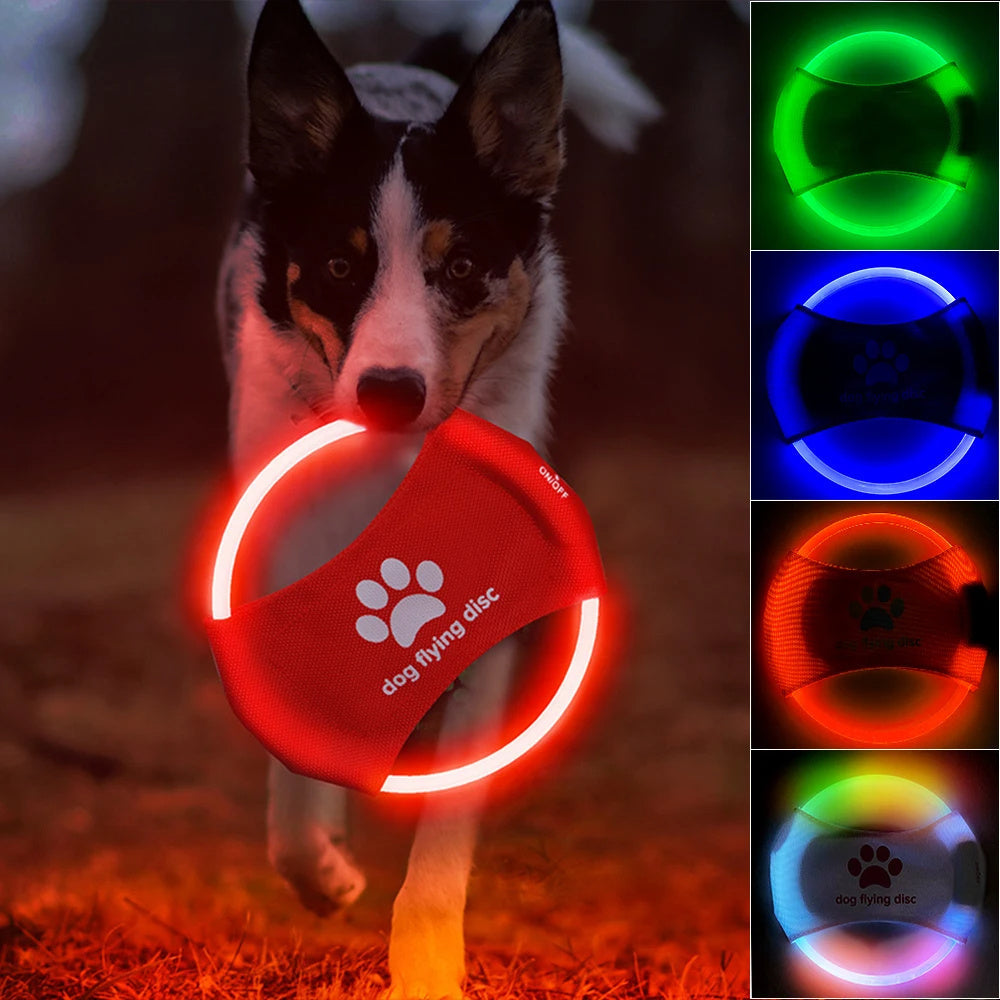 Disco Volador LED para Perros- Juguete Luminoso Interactivo Nocturno